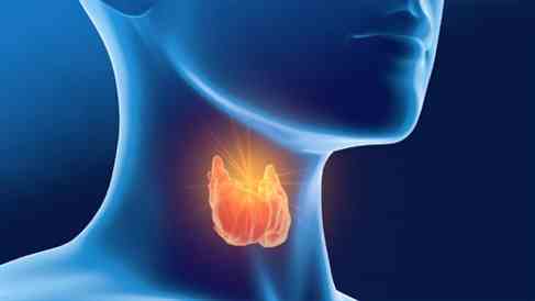 image-475275-1634024966