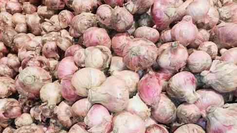 image-517196-1644124667