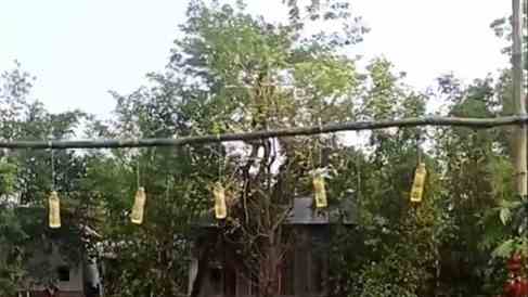 image-548103-1651890765