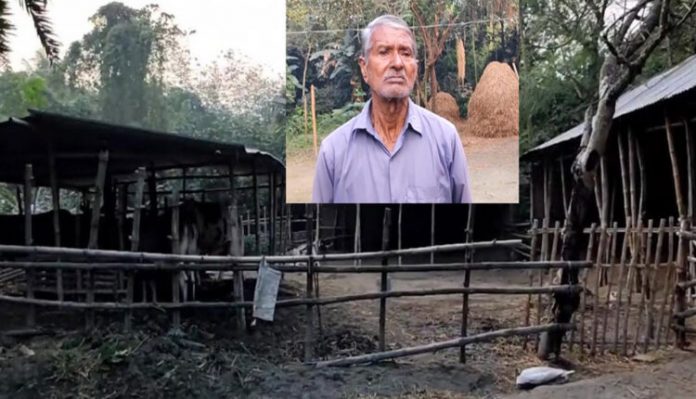 Screenshot_24-2-750x430.jpg চিরকুমার-কুমারি ভাইবোনের রহস্যঘেরা জীবন!