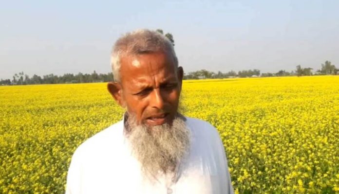 সরিষার বাম্পার ফলনের সম্ভাবনা আশা করছেন কৃষকরা