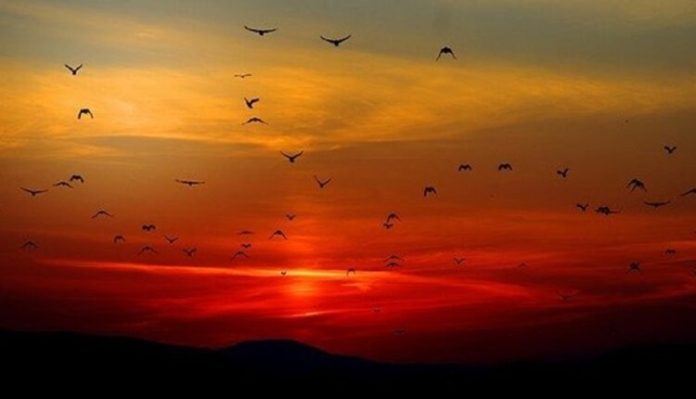 রাতের তাপমাত্রা বাড়বে ১-২ ডিগ্রি