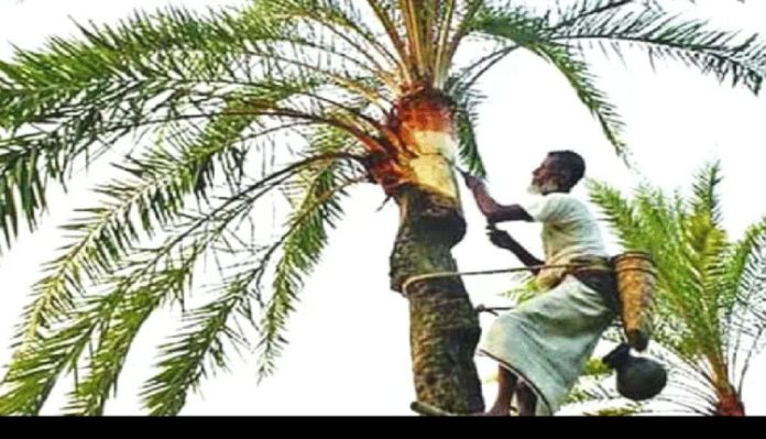 খেজুর গাছের রস বিক্রি করে আয় ৪০ হাজার টাকা